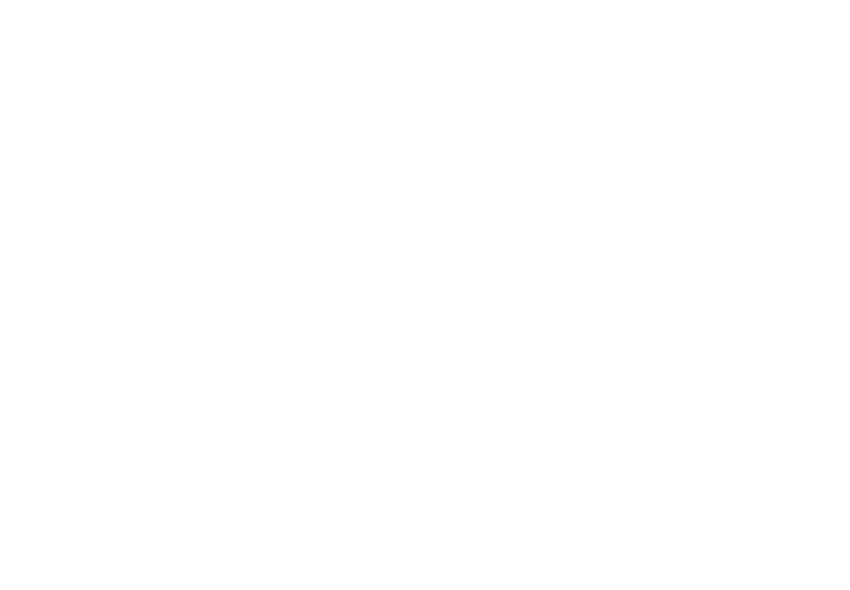 Ray & Mist Renovation Sdn Bhd